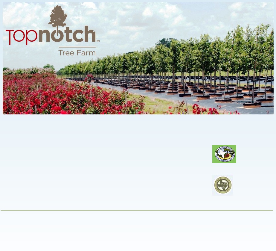  Top Notch Tree Farm, LLC - Texas Trees for Wholesale Accounts 